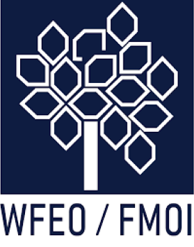 WEFO / FMOI Logo